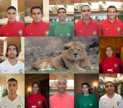 les lion d'atlas